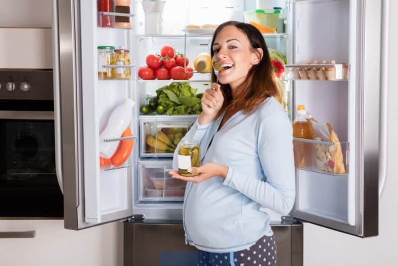 tipos de heladeras y cuál te conviene